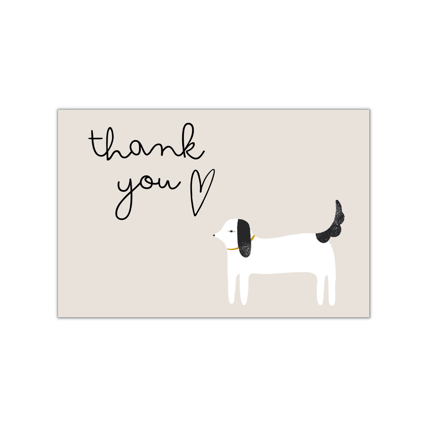 Thank You Post Cards