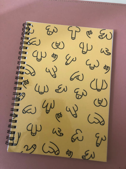 Willy notebook oops